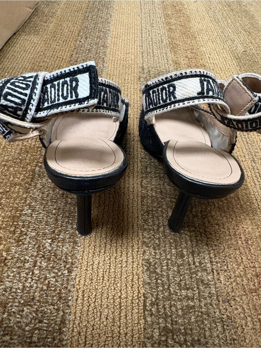 Dior Black Pointed Slingback Heels with J'Adior Canvas Strap
